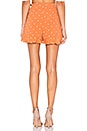 view 3 of 4 Natalia Dot Skort in Copper Dot