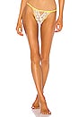view 1 of 4 Lemon Drop Cheeky Panty in Daisy