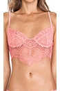 view 4 of 4 X REVOLVE Bat Your Lashes Bra in Pink Spiderweb
