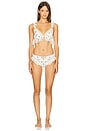 view 4 of 4 Butterfly Lace Ruffle Cheeky Panty in Cream White