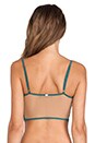 view 3 of 3 Bat Your Lashes Bra in Jade