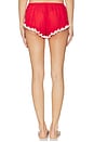 view 3 of 4 Fiona Lace Short in Red