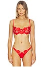 view 1 of 4 Love Is A Rose Underwire Bra in Red