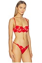 view 2 of 4 Love Is A Rose Underwire Bra in Red