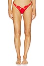 view 1 of 4 Love Is A Rose Thong Panty in Red