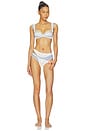 view 5 of 5 Summer Picnic Panty Pack in White