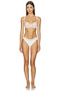 view 5 of 4 Corie Panty Pack in Pastel