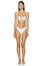view 6 of 5 Corie Panty Pack in Pastel