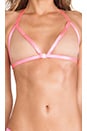 view 4 of 4 SUJETADOR BASICALLY NUDE in Neon Pink