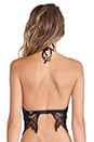 view 3 of 3 Vixen Halter Bra in Blakc in Black