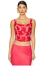 view 1 of 5 Embroidered Roses Bustier Top in Red