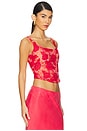 view 2 of 5 Embroidered Roses Bustier Top in Red
