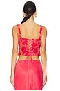 view 3 of 5 Embroidered Roses Bustier Top in Red