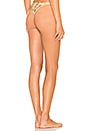 view 3 of 4 Antigua Thong Bottom in Blush