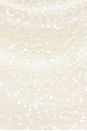 view 4 of 4 ROBE SOPHIA in Ivory Sequin