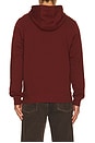 view 2 of 4 Banner Hoodie in Rust