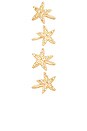 view 2 of 4 Starfish Napkin & Ring Set in 