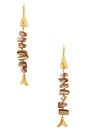 view 3 of 3 Fresh Catch Earrings in Multi