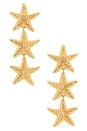 view 1 of 2 Sea Star Earrings in Gold