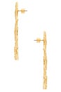 view 2 of 2 Sea Star Earrings in Gold