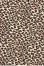 view 4 of 4 Audrey Dress in Baby Leopard