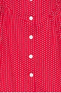 view 5 of 5 Charlotte Dress in Ladybug