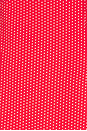 view 4 of 4 Manhattan Crepe Dress in Ladybug Print