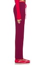view 3 of 6 PANTALON LOCHLIN CASHMERE in Pomegranate