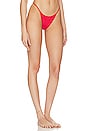 view 2 of 4 x Pamela Anderson Zeus Bikini Bottom in Anderson Red