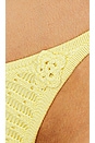 view 5 of 5 Tide Crochet Bikini Bottom in Honey Butter