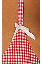 view 5 of 5 Lumia Top in Ladybug Gingham Print