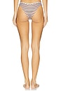 view 3 of 4 BRAGUITA BIKINI ENZO in Brown Sugar Stripe