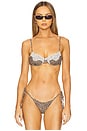 view 1 of 5 Morning Bikini Top in Baby Leopard