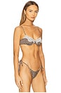 view 2 of 5 Morning Bikini Top in Baby Leopard