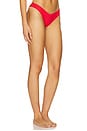 view 2 of 5 Enzo Bikini Bottom in Spice Dot Print
