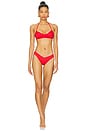 view 4 of 5 Enzo Bikini Bottom in Spice Dot Print