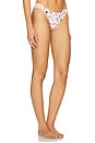 view 2 of 5 Dove Beaded Bikini Bottom in Strawberry Field Print