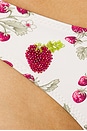 view 5 of 5 Dove Beaded Bikini Bottom in Strawberry Field Print