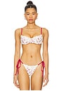 view 1 of 5 Cola Bikini Top in Strawberry Field Print