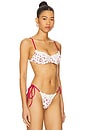 view 2 of 5 Cola Bikini Top in Strawberry Field Print
