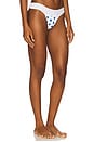 view 2 of 4 Murphy Bikini Bottom in Delicate Dot