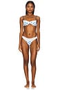 view 4 of 4 Murphy Bikini Bottom in Delicate Dot