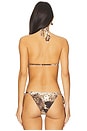 view 3 of 4 Paradise Triangle Bikini Top in Saddle Up
