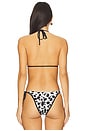 view 3 of 4 Paradise Triangle Bikini Top in Homestead