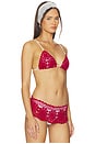 view 2 of 4 Elena Crochet Bikini Top in Havana Crochet