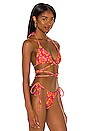 view 2 of 4 TOP BIKINI TATUM TERRY in Hibiscus Honey Print