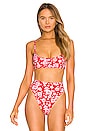view 1 of 4 Dallas Bikini top in Coconut Girl