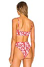 view 3 of 4 Dallas Bikini top in Coconut Girl