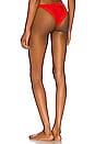 view 3 of 4 x REVOLVE Cole Bikini Bottom in Grenadine
