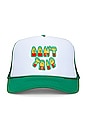 view 1 of 3 Bob Marley Tuff Gong Trucker Hat in White & Green